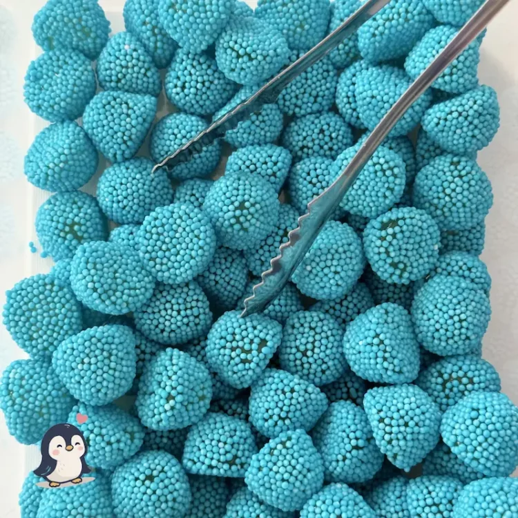 Bonbons Mûre Bleue Halal Dulceplus