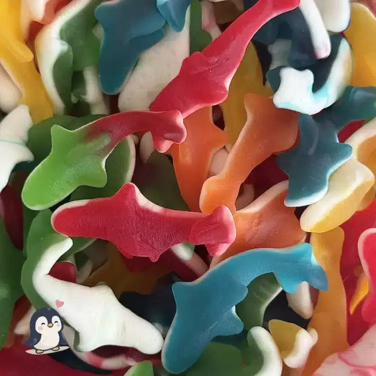 Bonbon – Requin Sans Gluten et Halal – Dulceplus