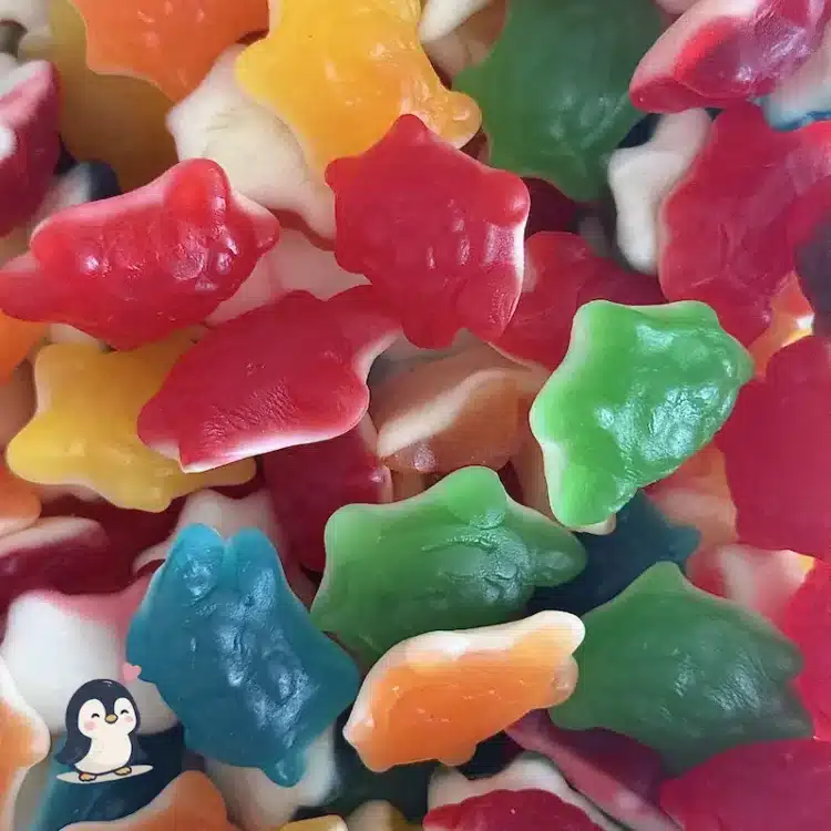 Bonbons – Tortues Sans Gluten et Halal – Dulceplus