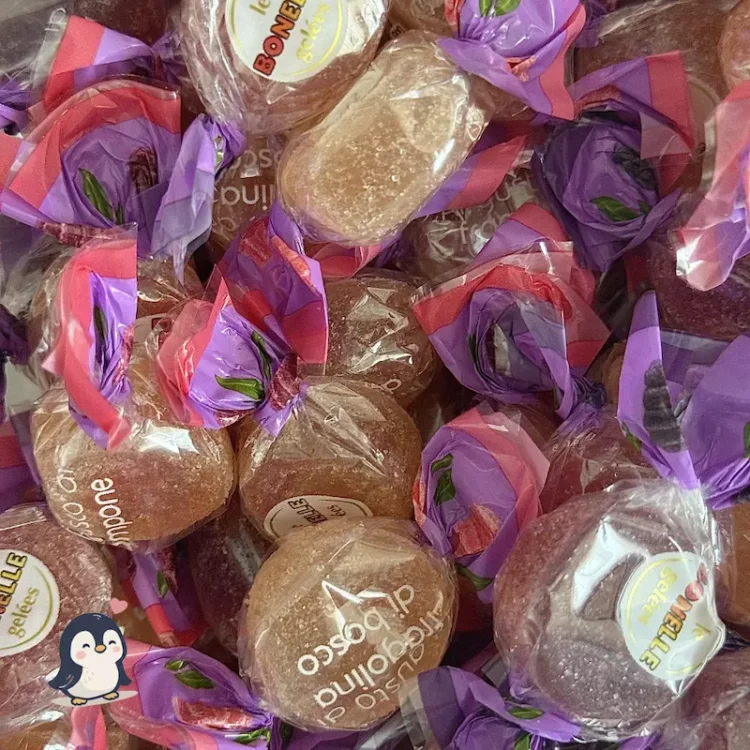 Bonbons Vegan Fruits des Bois Fida