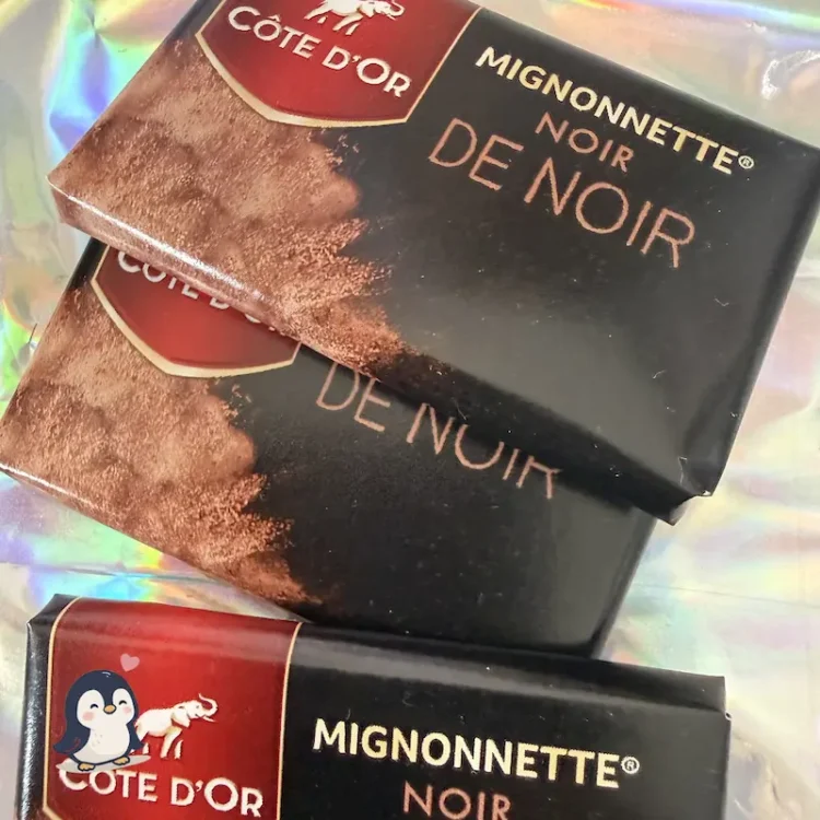Chocolat Côte d’Or Mignonnette Noir de Noir